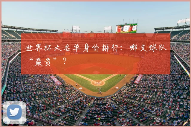 世界杯大名单身价排行：哪支球队“最贵”？