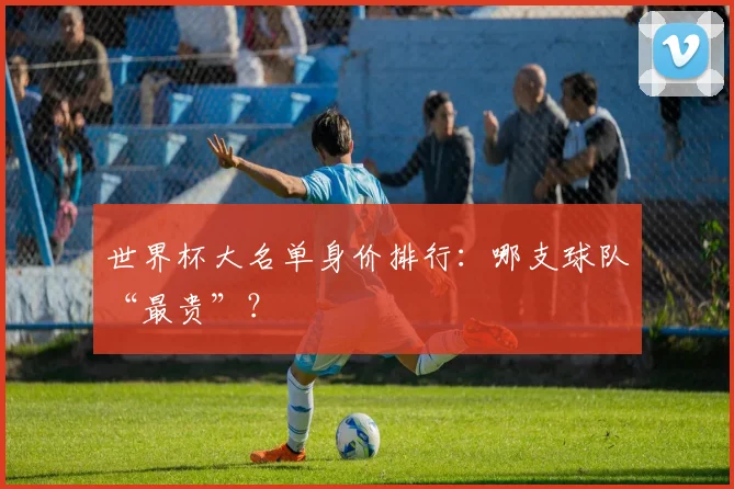 世界杯大名单身价排行：哪支球队“最贵”？